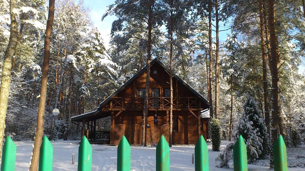 Villa Lesna Ostoja Nad Pilica à Lechanice Extérieur photo