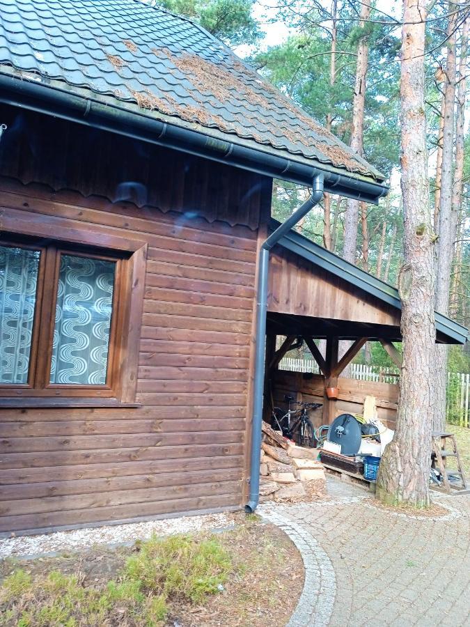 Villa Lesna Ostoja Nad Pilica à Lechanice Extérieur photo